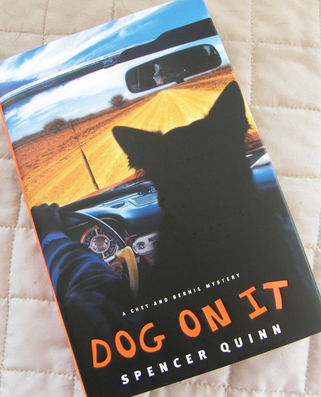 Dog On It by Spencer&nbsp;Quinn