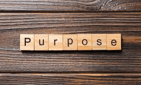 Meaning and Purpose