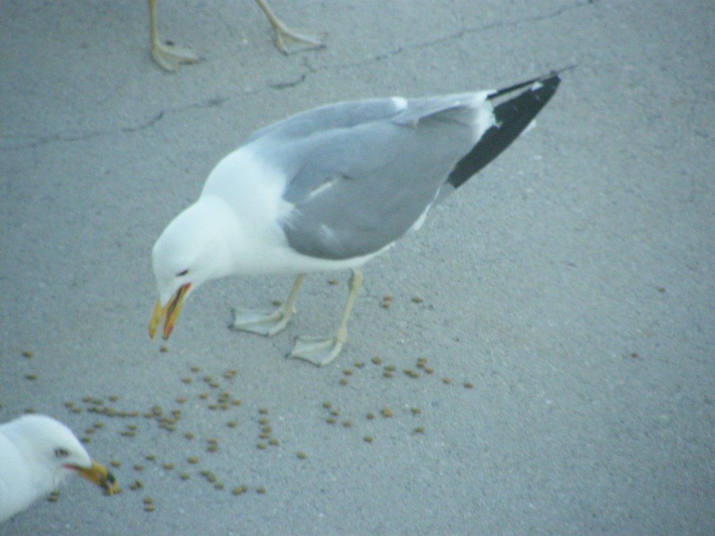 The Wonder of It&nbsp;All