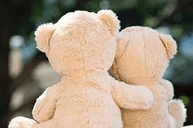 Self-regulation and Emotional&nbsp;Comfort